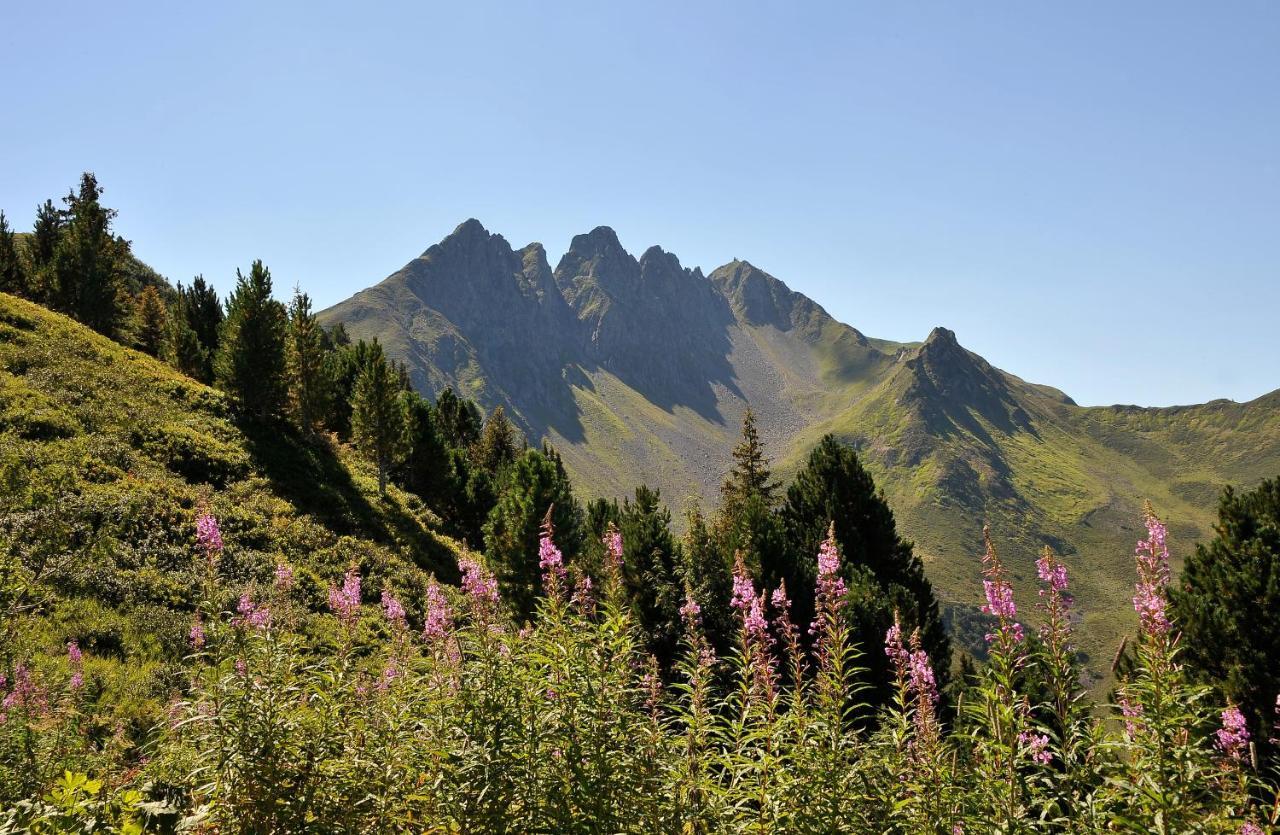 Hotel Almhof Hochfugen Esterno foto